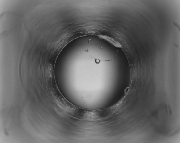 X0000100840174200806201159