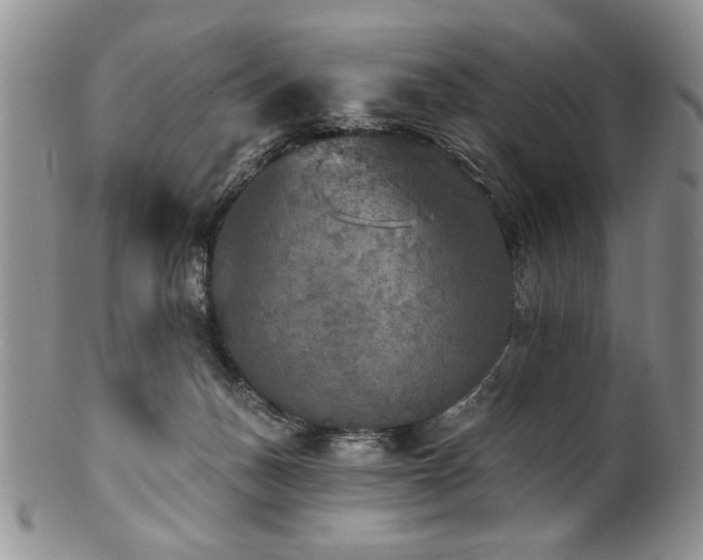 X0000100840175200806201159