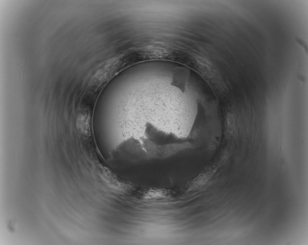 X0000100840177200806201159