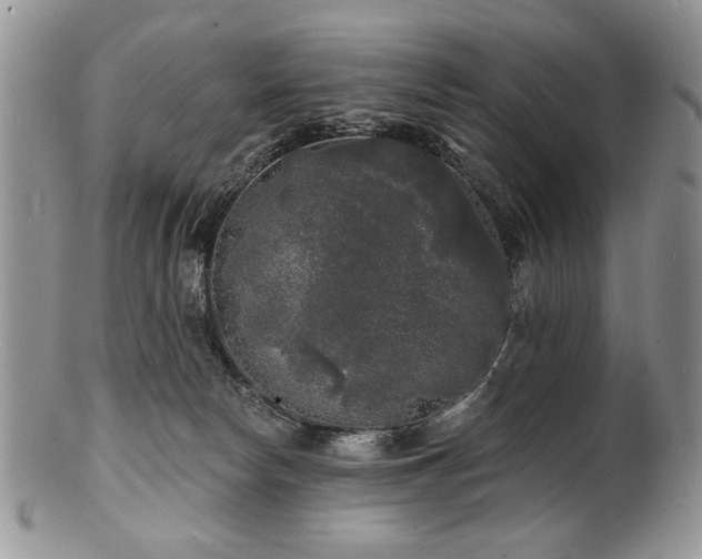 X0000100840178200806201159