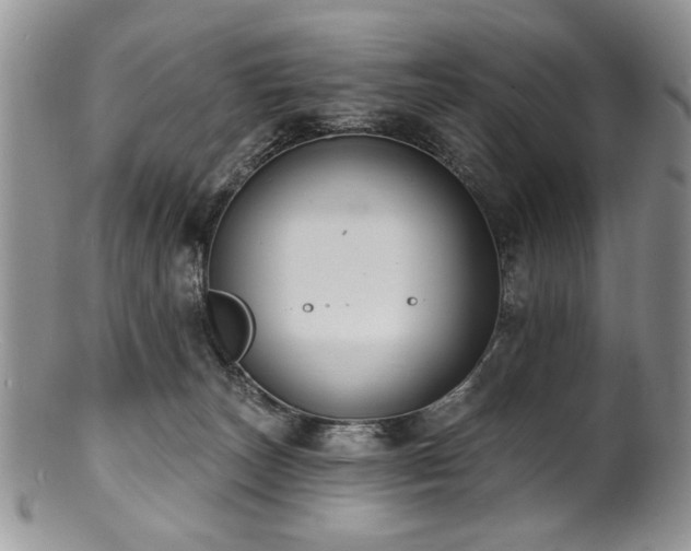 X0000100840179200806201159