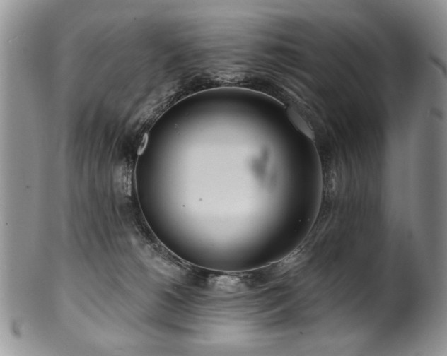 X0000100840180200806201159