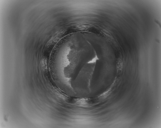 X0000100840182200806201159