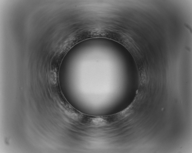 X0000100840183200806201159