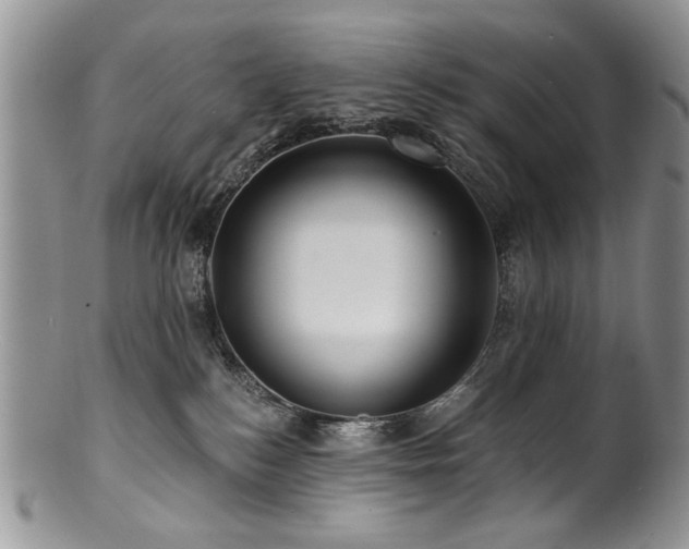 X0000100840184200806201159