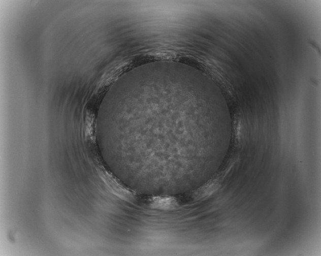 X0000100840185200806201159