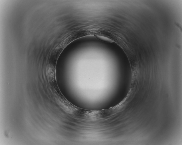 X0000100840186200806201159