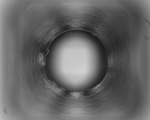 X0000100840187200806201159