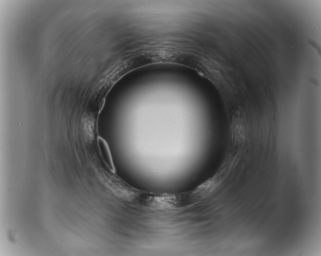 X0000100840188200806201159