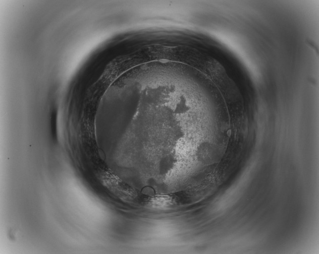 X0000100840189200806201159