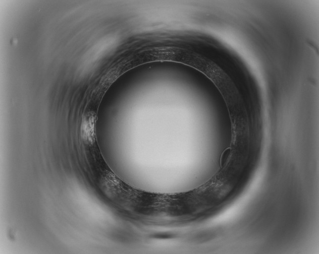 X0000100840190200806201159