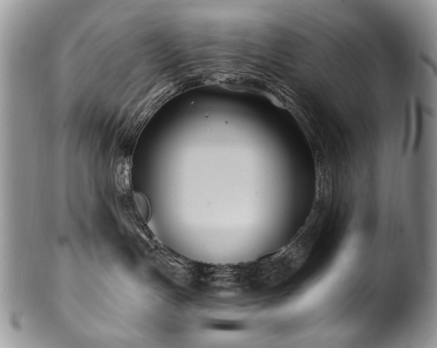 X0000100840191200806201159