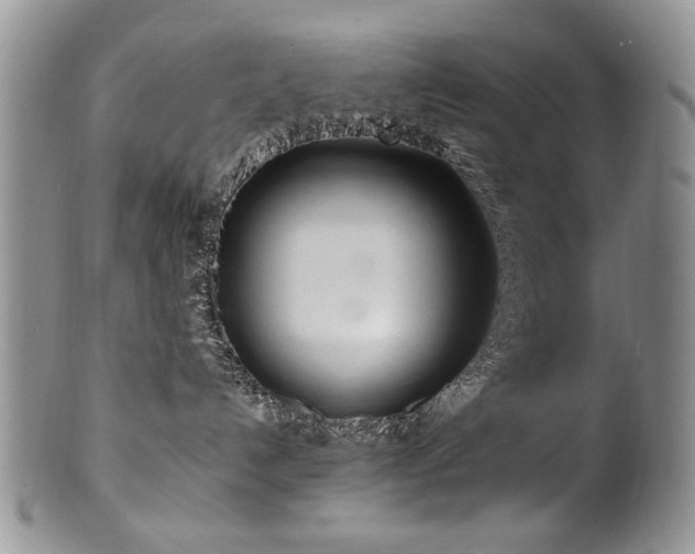 X0000100840192200806201159