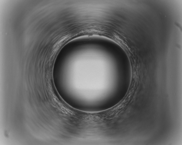 X0000100840193200806201159