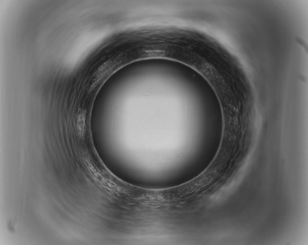 X0000100840194200806201159