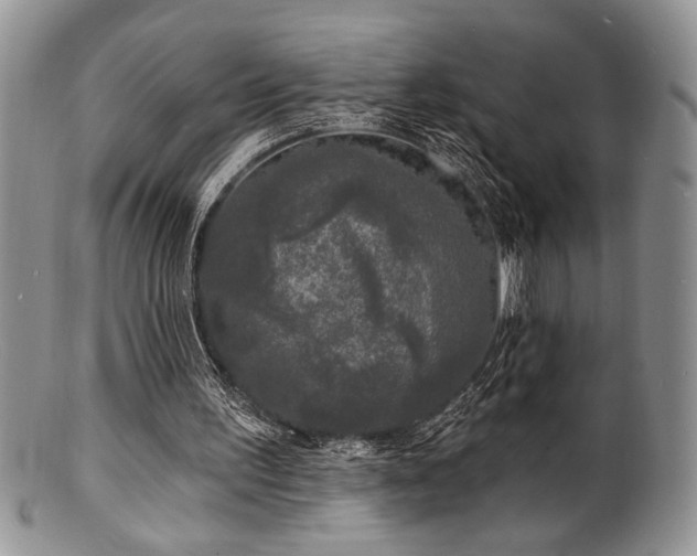 X0000100840195200806201159