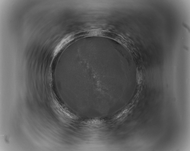 X0000100840198200806201158