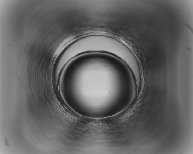 X0000100840199200806201158