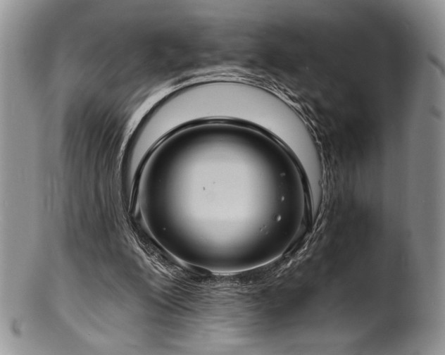 X0000100840200200806201158