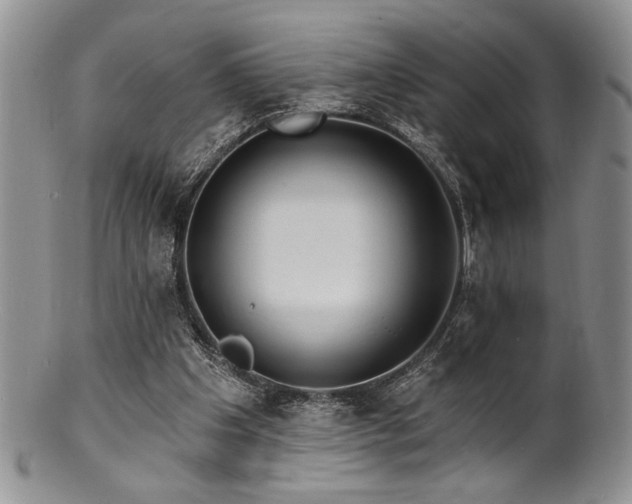 X0000100840201200806201158