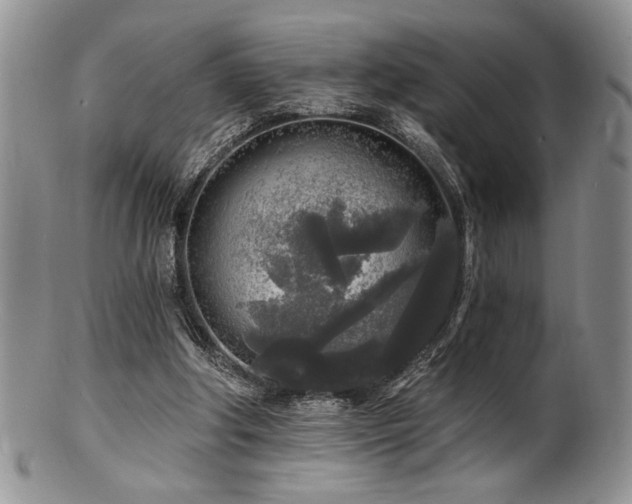 X0000100840202200806201158