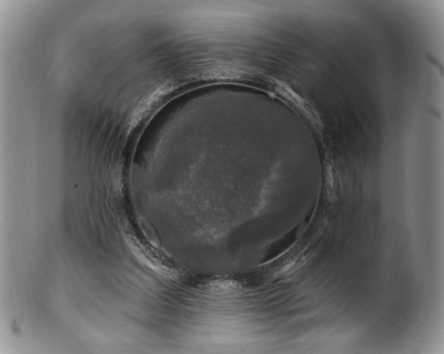 X0000100840203200806201158