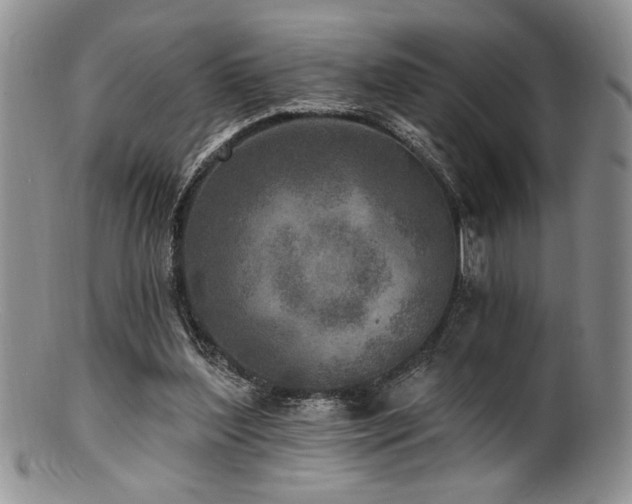 X0000100840204200806201158