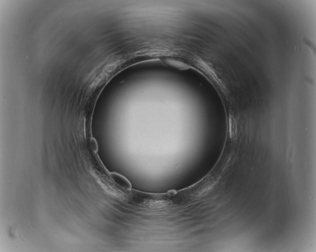 X0000100840205200806201158