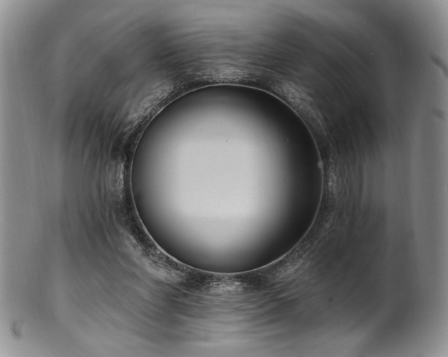 X0000100840206200806201158