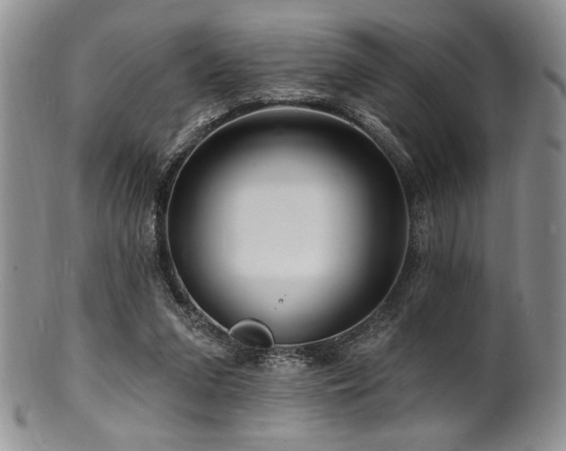 X0000100840207200806201158