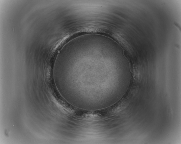 X0000100840208200806201158