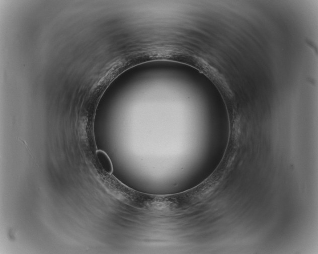 X0000100840209200806201158