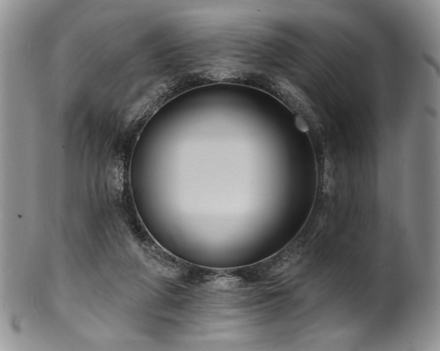 X0000100840210200806201158