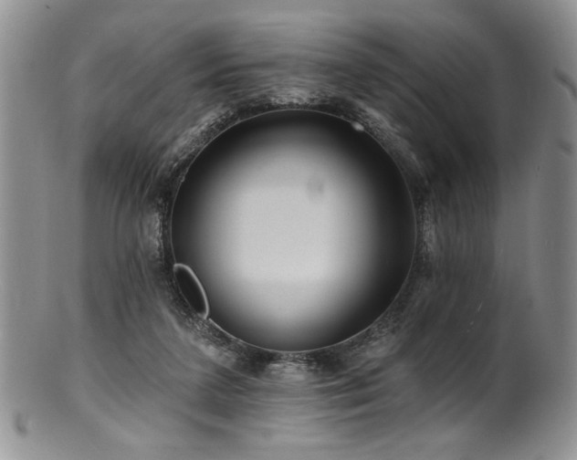 X0000100840211200806201158