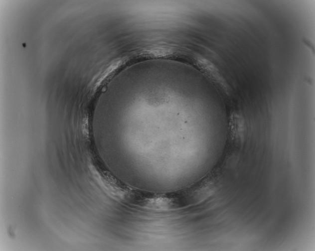 X0000100840212200806201158