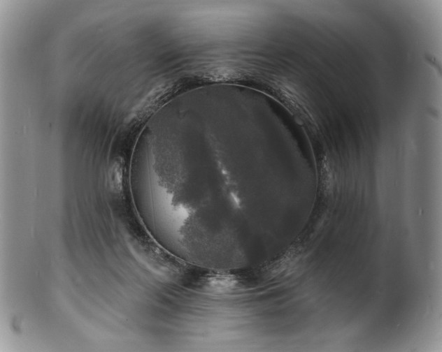 X0000100840214200806201158