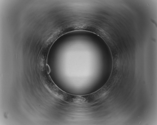 X0000100840215200806201158