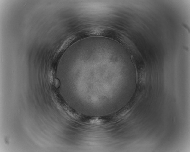 X0000100840216200806201158