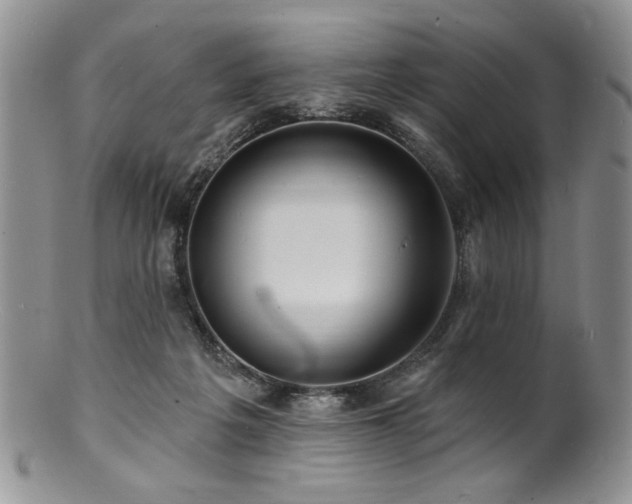 X0000100840217200806201158