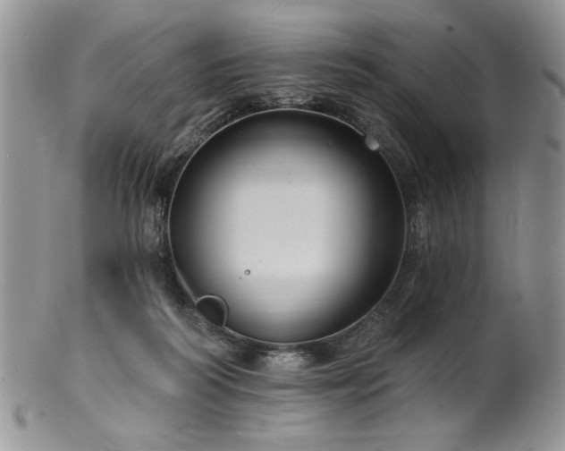 X0000100840218200806201158