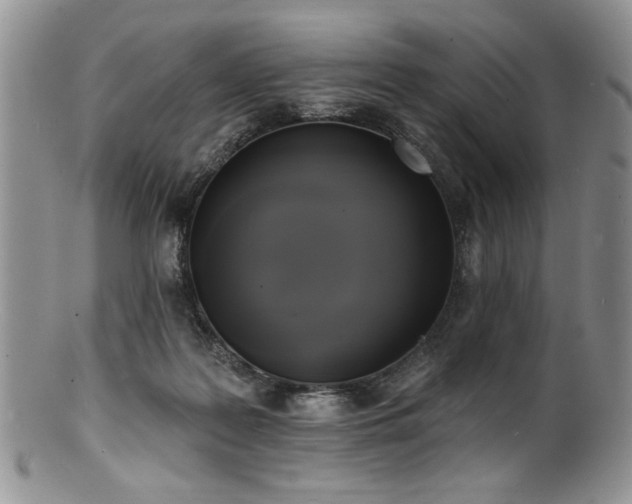 X0000100840219200806201158