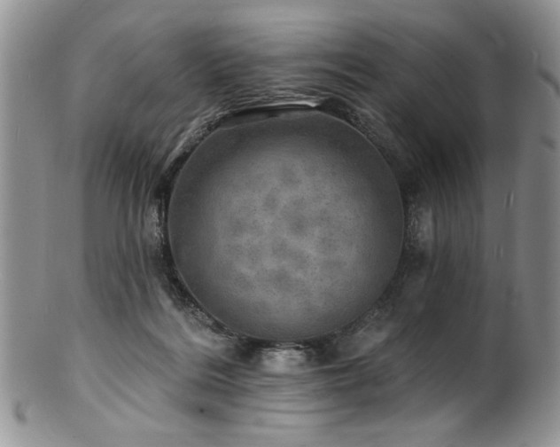 X0000100840220200806201158