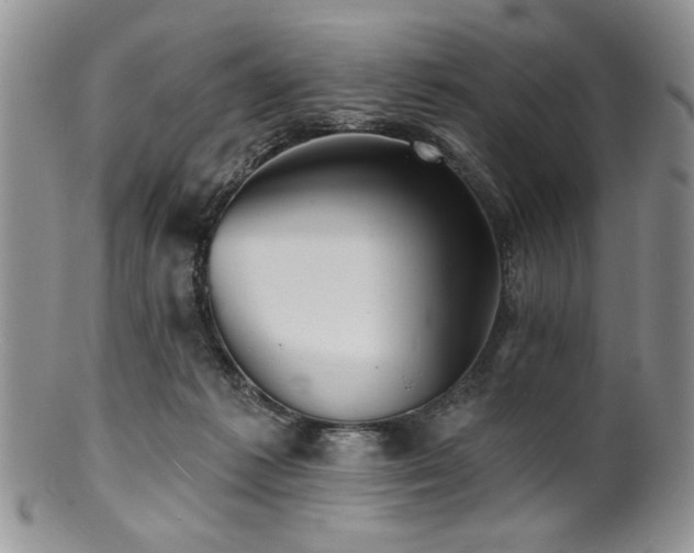 X0000100840221200806201158