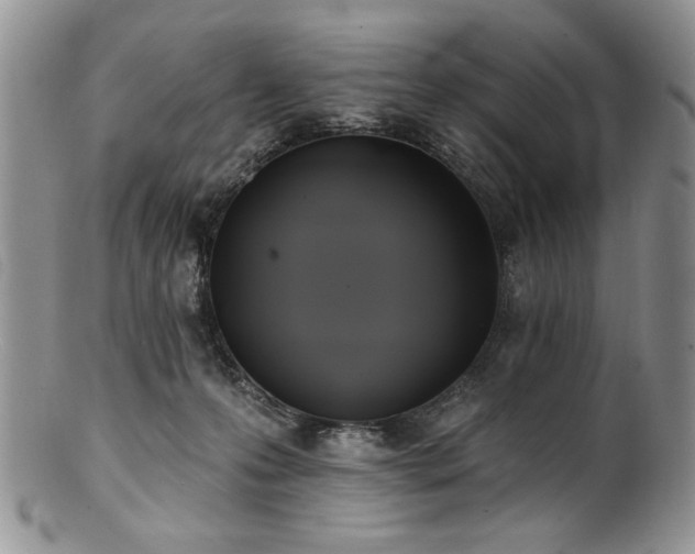 X0000100840223200806201158