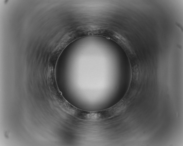 X0000100840225200806201158