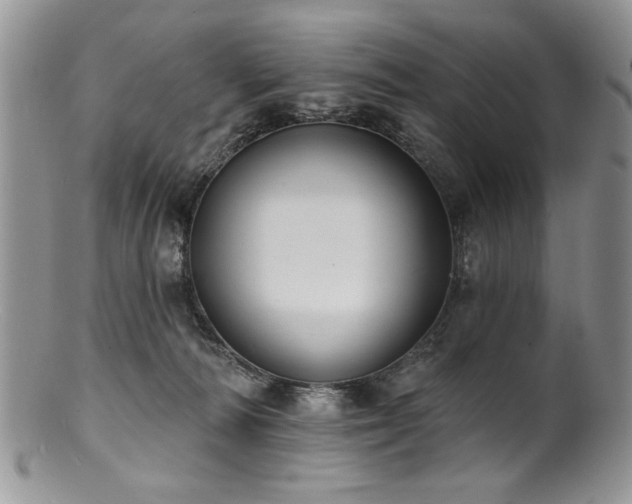 X0000100840226200806201158