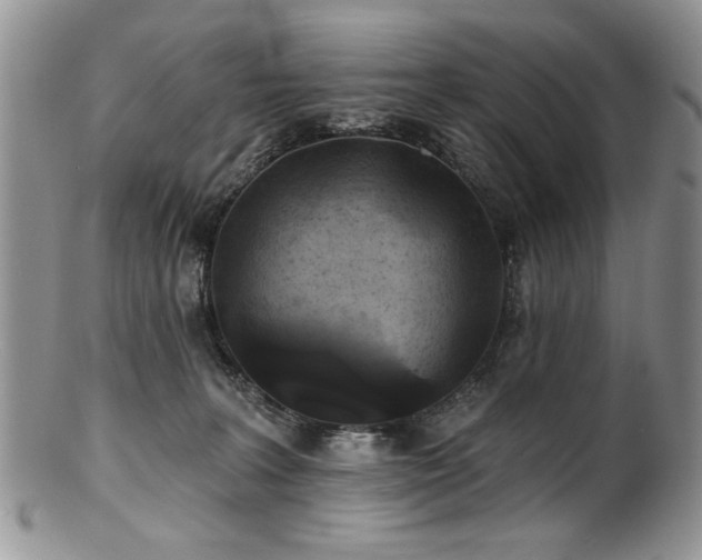 X0000100840227200806201158