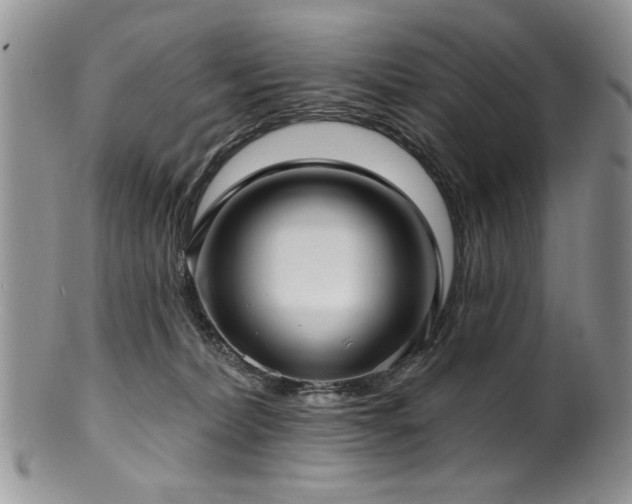 X0000100840228200806201158