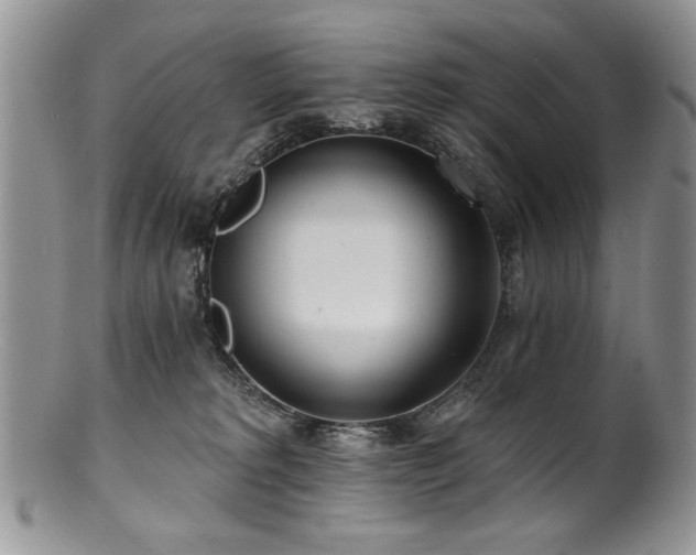 X0000100840229200806201158