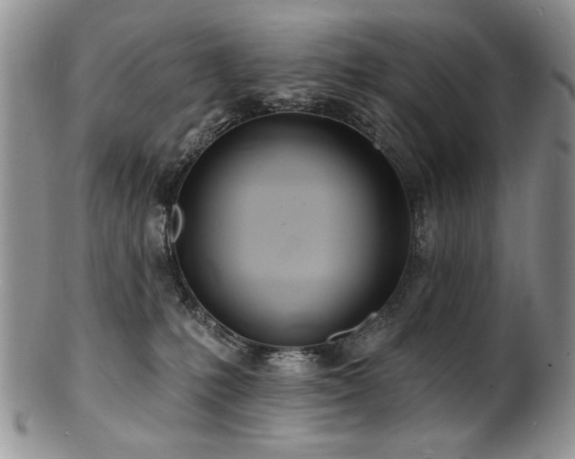 X0000100840231200806201158